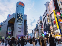 Fodgængerovergang i Tokyos Shibuya-distrikt