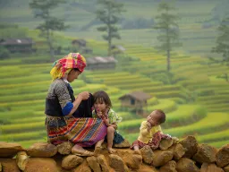 Vietnamesisk familie blandt risterrasser Vietnamesisk familie blandt risterrasser