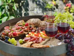 Italienske antipasti med vin og druer