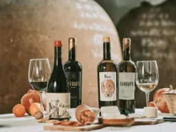 Traditionel portugisisk Vinho de Talha vin serveret med brød og frugt