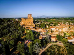 Chateauneuf-du-Pape set fra luften