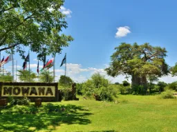 Indgangen til Mowana Lodge med et markant baobabtræ i baggrunden Indgangen til Mowana Lodge med et markant baobabtræ i baggrunden