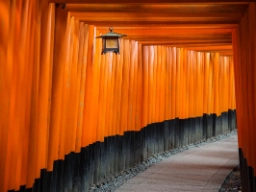 Torii-porte udgør ofte indgangen til shintohelligdomme