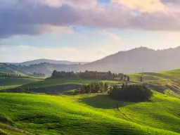 Montecatini Terme med grønne bakker og frodig natur