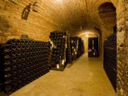 Flere champagneflasker under modning i Épernay