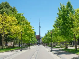 Velholdt allé med CN Tower i baggrunden
