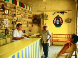 Mezcal-bar med lokale specialiteter