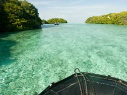 Mangrovelaguner og atolkanaler, hvor havet skifter i alle nuancer af turkis og grønt