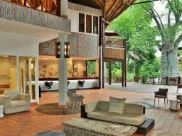 Receptionen på Mowana Lodge med udsigt til det store baobabtræ