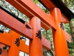 Torii-porte udgør ofte indgangen til shinto helligdomme 