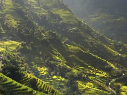 Sollyset falder over de grønne risterrasser i Ha Giang-provinsen Sollyset falder over de grønne risterrasser i Ha Giang-provinsen