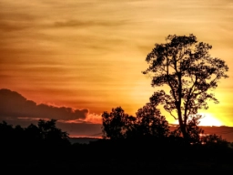 Stille solnedgang
