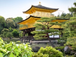 Den berømte Guldpavillon i Kyoto