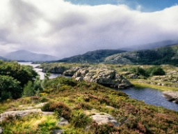 Smuk natur langs den sceniske rute Ring of Kerry