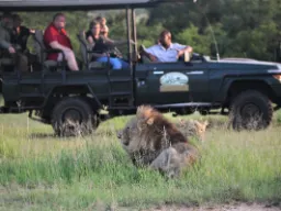 På safari i åben jeep På safari i åben jeep