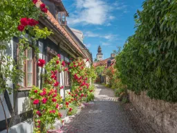 Idyllisk gade i Visby