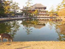 Guldpavillonen i Kyoto Guldpavillonen i Kyoto