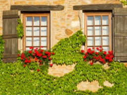 Vinduesparti i Bourgogne