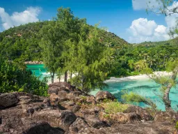 Træer, klipper, sand og vand