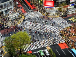 Den berømte fodgængerovergang i Shibuya-distriktet