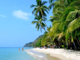 Den hvide strand og de mange palmer ved Koh Chang