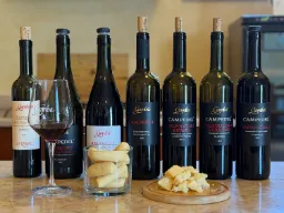 Klar til vinsmagning hos vinproducenten Gamba i Valpolicella Klar til vinsmagning hos vinproducenten Gamba i Valpolicella