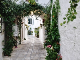 I den hvide by Ostuni