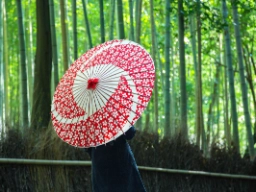 Bambusskov i Arashiyama 
