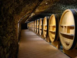 Vintønder i kælderen i Chateauneuf-du-Pape