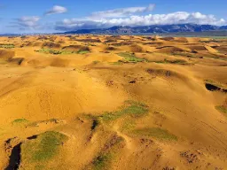 Elsen Tasarkhai-sandklitterne i Mongoliet – kendt som 'Mini-Gobi' med et mix af ørken og steppe
