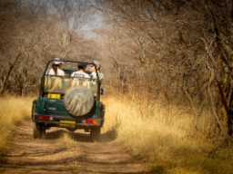 Ranthambore Nationalpark