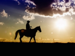 Lonely cowboy