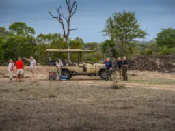 Pitstop i bushen og baren er åben Pitstop i bushen og baren er åben