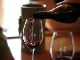 Ontario er den største vinproducerende provins i Canada