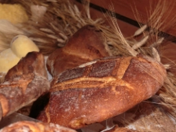 I Altamura bages brød af højeste kvalitet