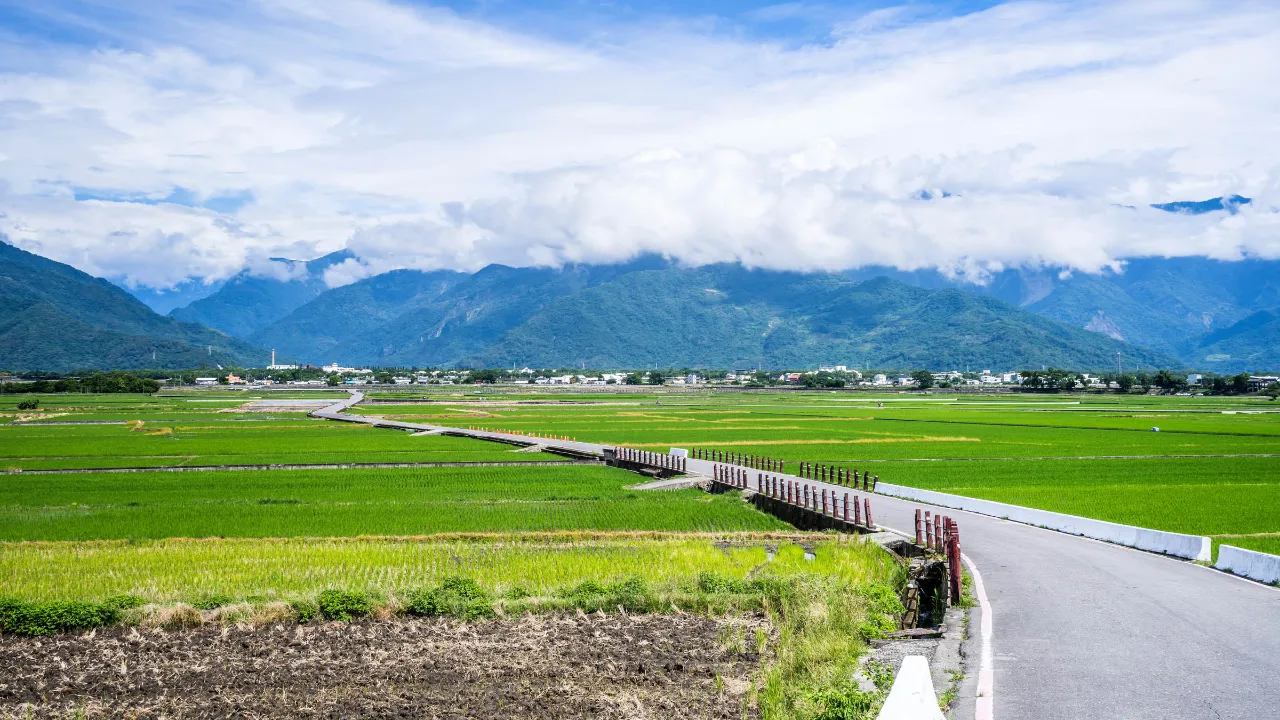 Fra Chishang i Taitung provinsen Fra Chishang i Taitung provinsen