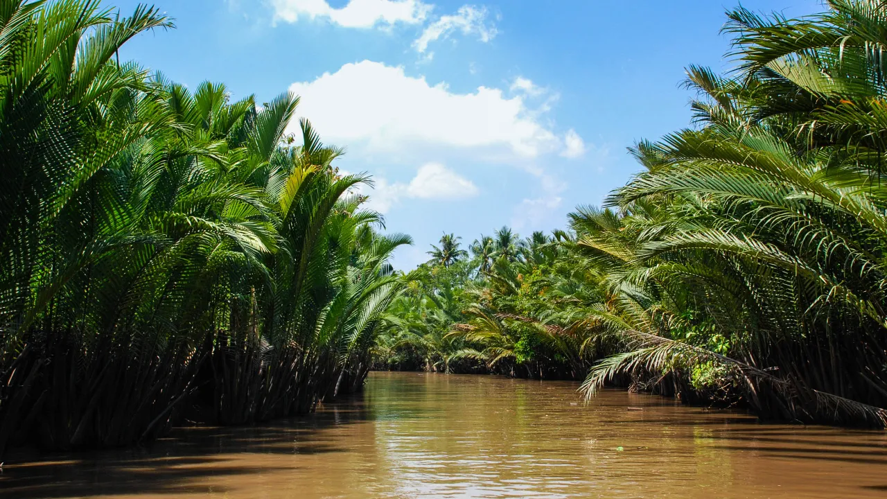 Flodlandskab i Mekong-deltaet