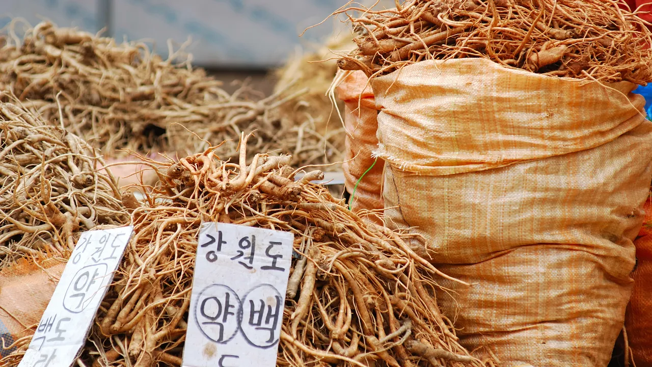 Ginseng til salg på et marked i Sydkorea Ginseng til salg på et marked i Sydkorea