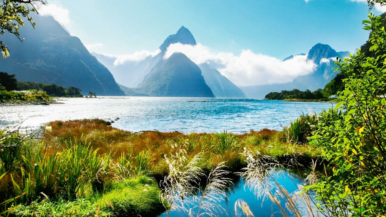 Milford Sound i Fiordland National Park med Mitre Peak i baggrunden