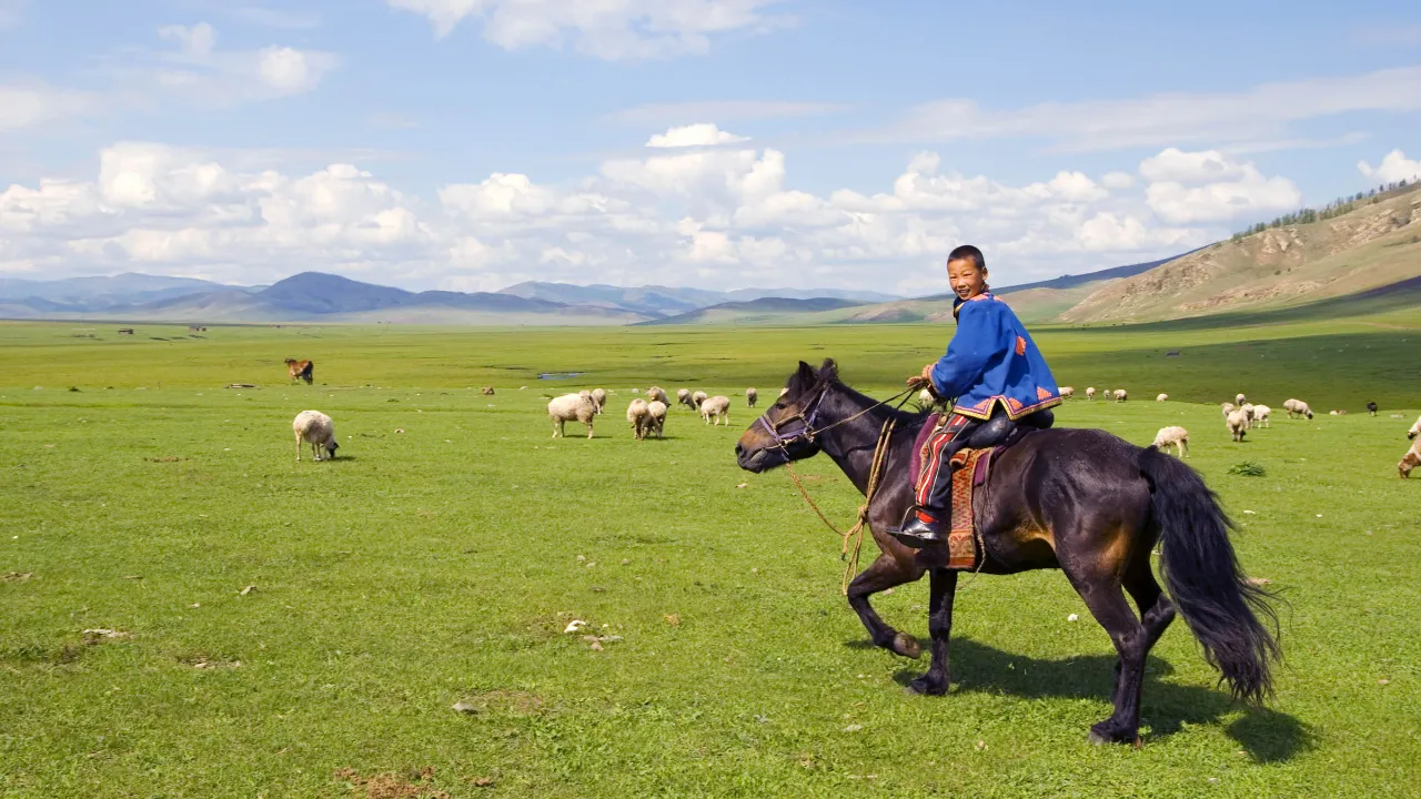 Hesten har en central rolle i mongolsk kultur – Mongoliet kaldes ofte “landet med de mange heste”