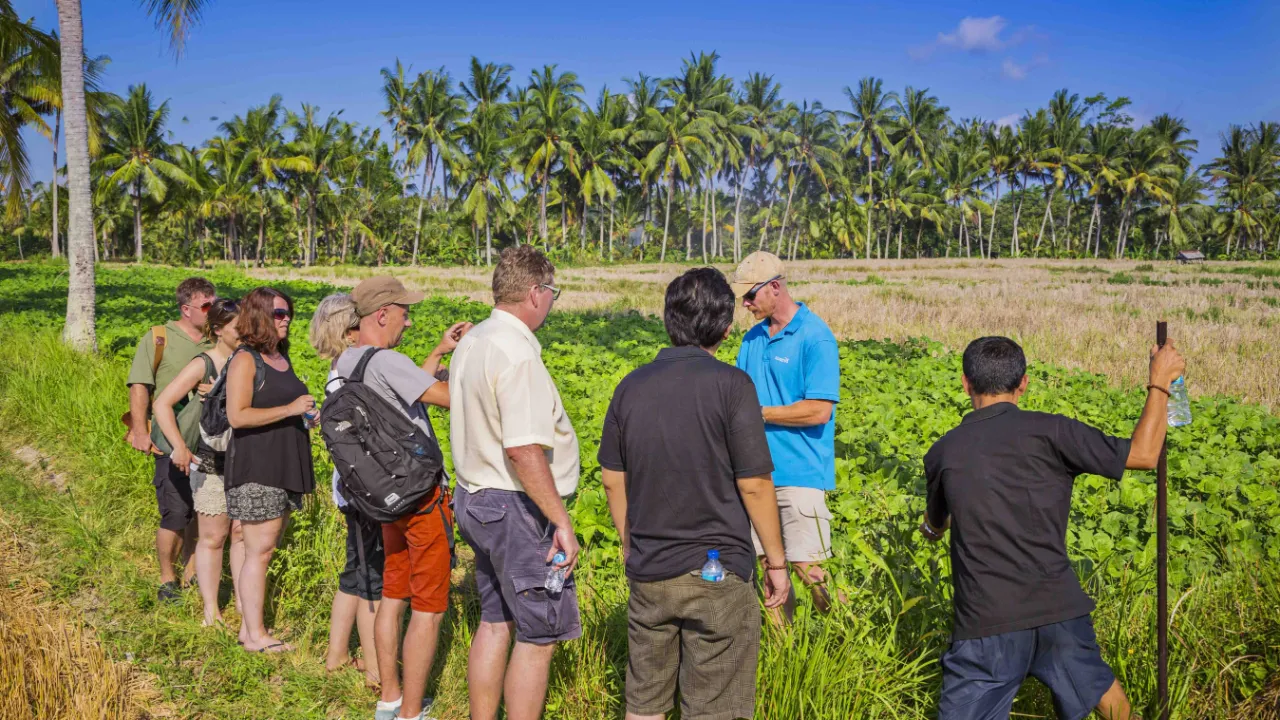 Guidet vandretur gennem rismarkerne ved Ubud