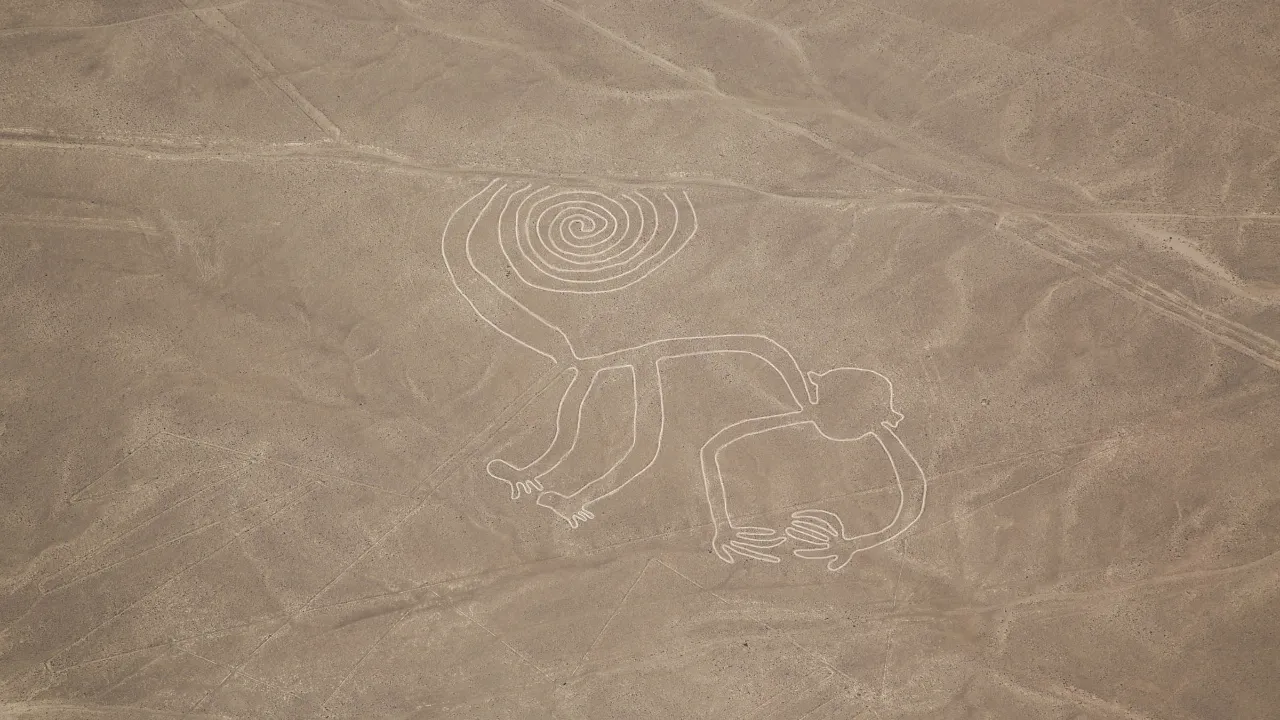 Nazca-linjerne i det sydlige Peru er enorme geoglyffer, hvor aben er den mest berømte. Kan kun ses fra luften Nazca-linjerne i det sydlige Peru er enorme geoglyffer, hvor aben er den mest berømte. Kan kun ses fra luften