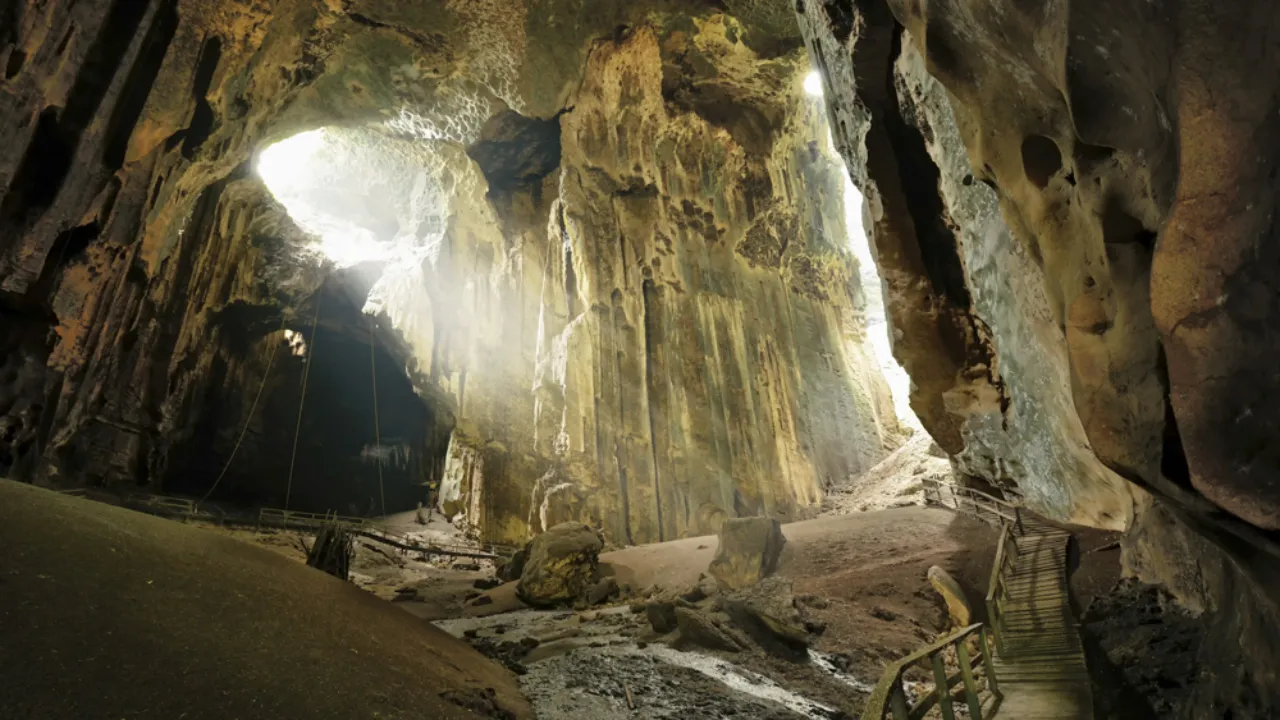 Gomantong-grotterne i Sabah Gomantong-grotterne i Sabah