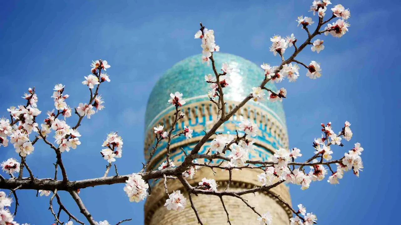 Minaret med turkisblå flisedekorationer i Bukhara, Usbekistan