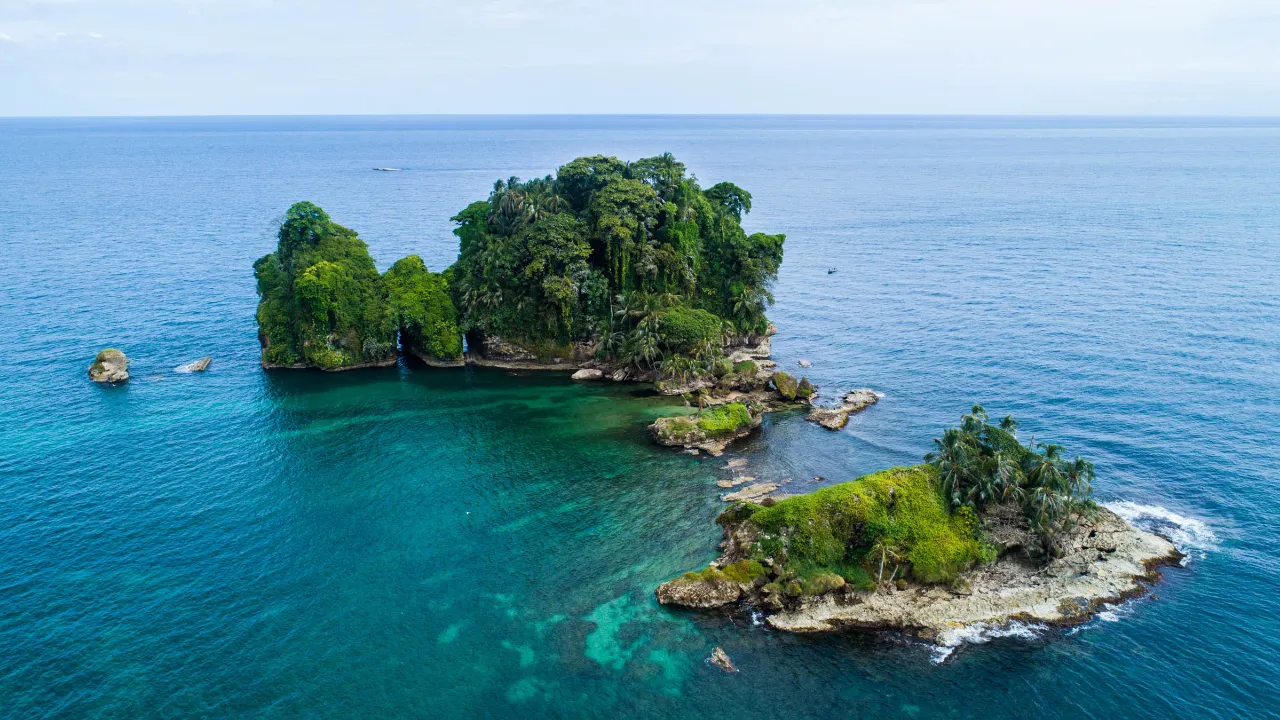 Bird Island ved Bocas del Toro i Panama har et rigt fugleliv Bird Island ved Bocas del Toro i Panama har et rigt fugleliv