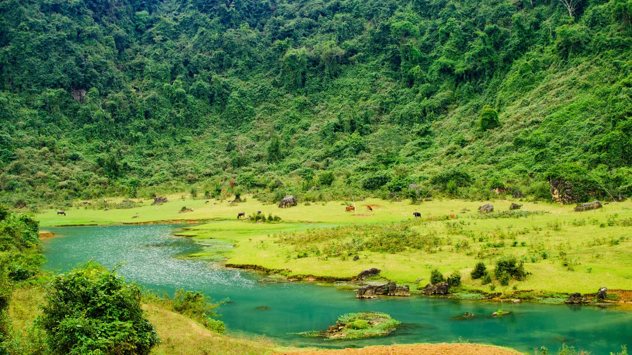 Phoung Nha Nationalpark