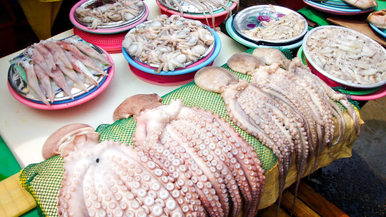 Jagalchi Market i Busan er kendt for sit store udvalg af havets delikatesser Jagalchi Market i Busan er kendt for sit store udvalg af havets delikatesser
