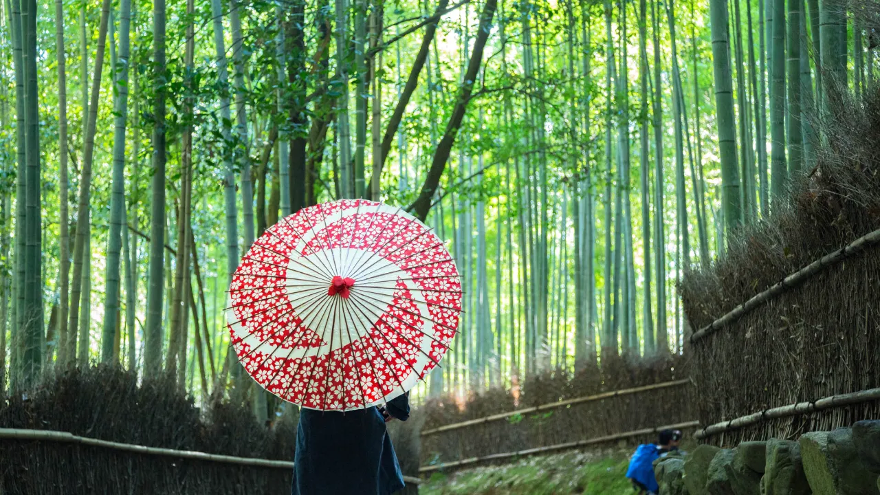 Bambuslunden i Arashiyama, Kyoto Bambuslunden i Arashiyama, Kyoto