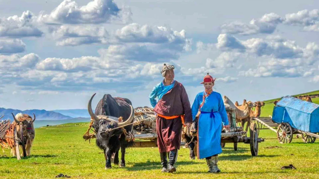 Mongolske nomader med oksetrukne vogne på stepperne Mongolske nomader med oksetrukne vogne på stepperne