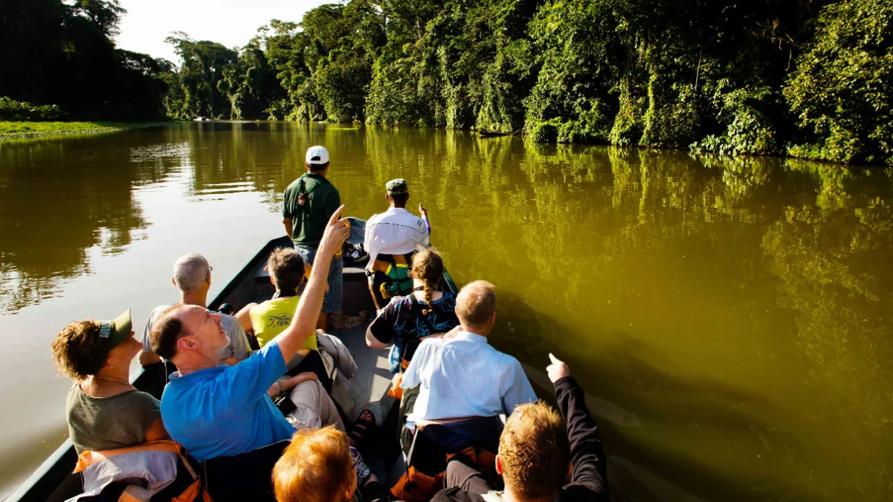 Bådtur gennem de rolige kanaler i regnskoven i Tortuguero Nationalpark, Costa Rica Bådtur gennem de rolige kanaler i regnskoven i Tortuguero Nationalpark, Costa Rica